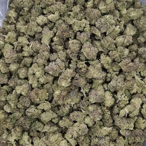 Hashburger -Hybrid Flower