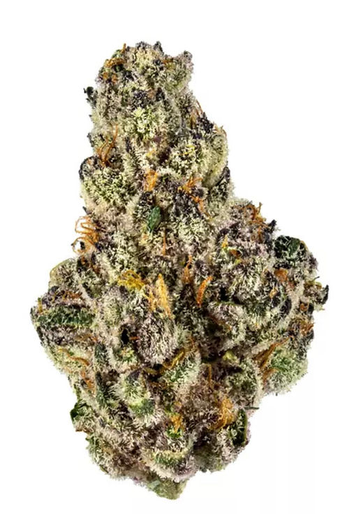 Carbon Fiber - India dominate Hybrid