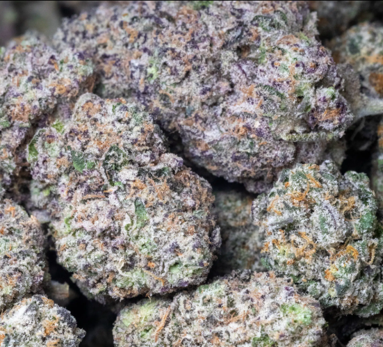 ✨ New Arrival- Glitter Bomb - Indica