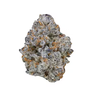 ✨ New Arrival- Ice Man - Hybrid