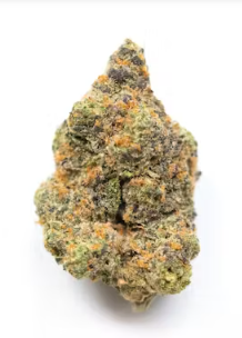 Magic Night- Indica dominate Hybrid