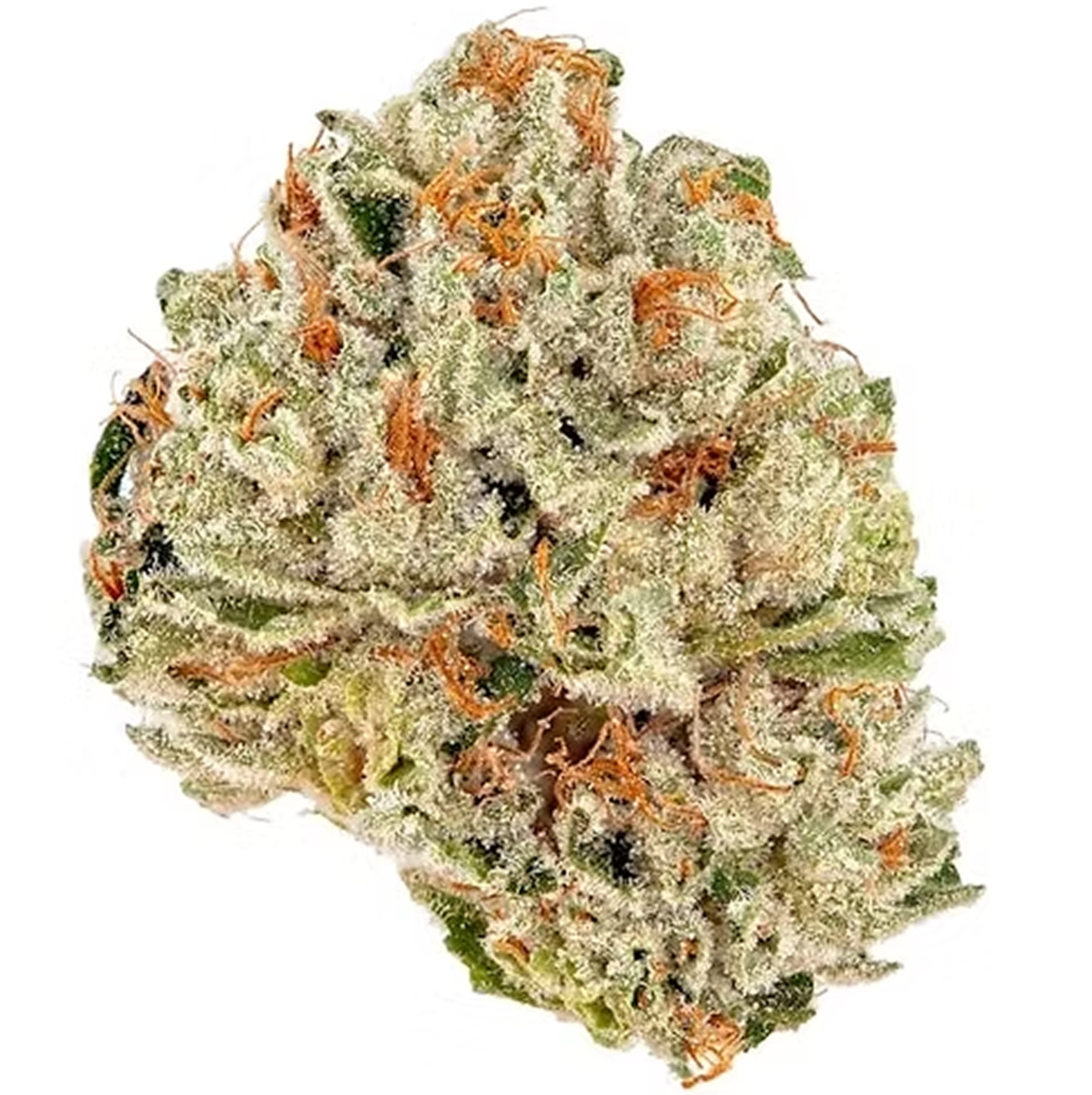 Secret Weapon - Sativa