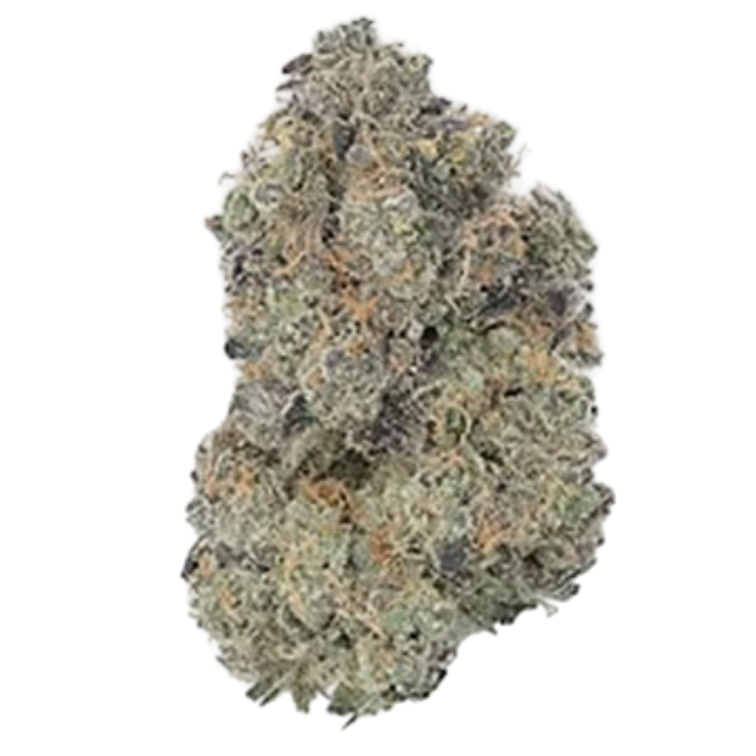 Mango Smoothie- Hybrid