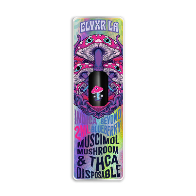 Muscimol Mushroom & THCa 2g Disposable Vape