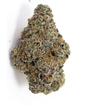 ✨ New Arrival- Glitter Bomb - Indica